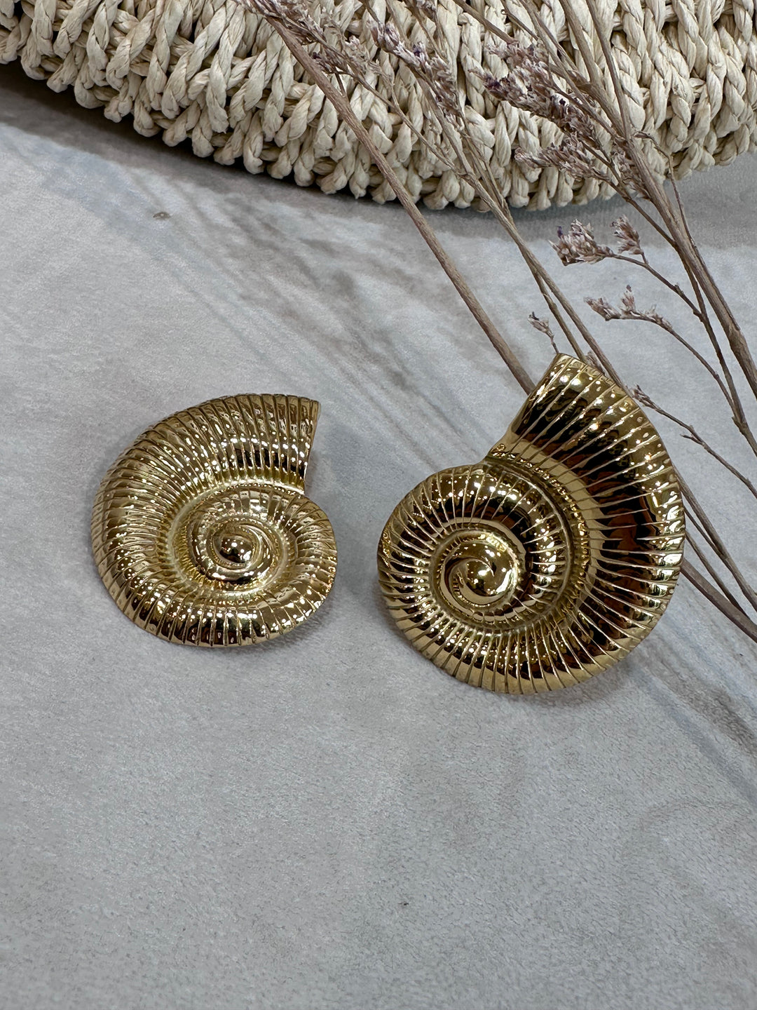 Boucle d’oreille fossile escargots