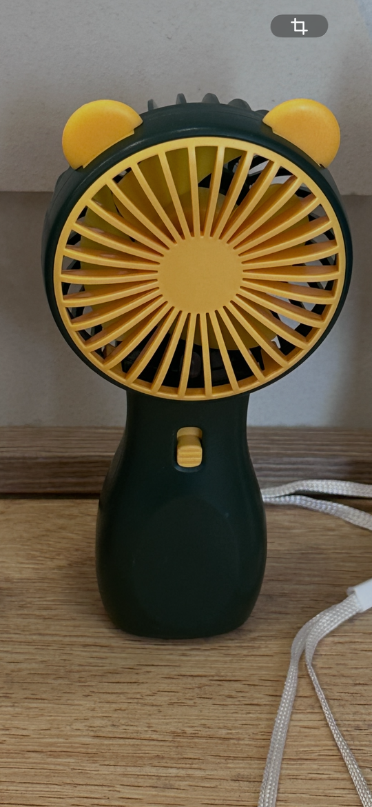 Ventilateur 2 intensité Avec lumière