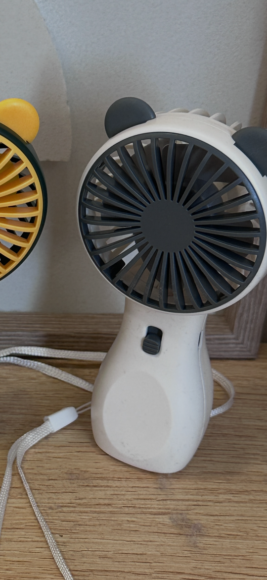 Ventilateur 2 intensité Avec lumière
