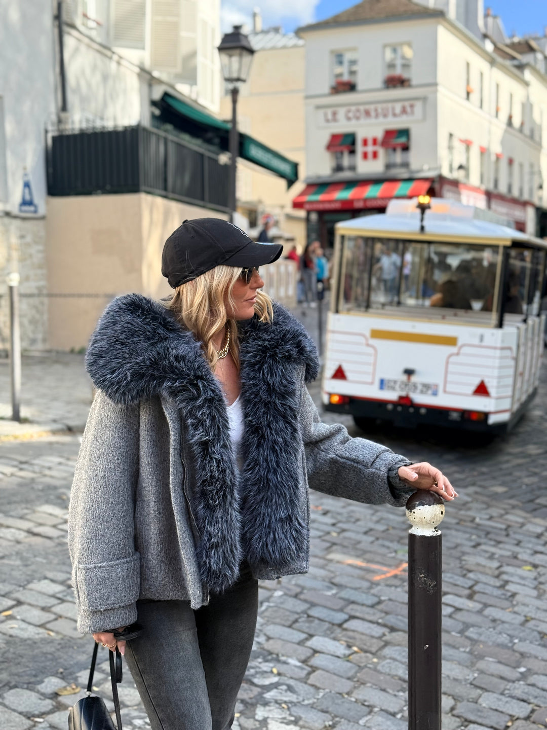 Veste Lainer capuche fourrure Gris 202396