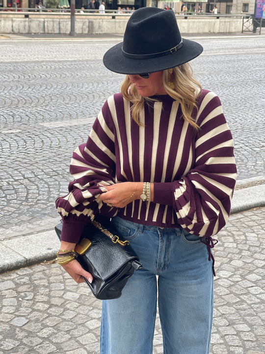 Pull rayures manches papillons violet