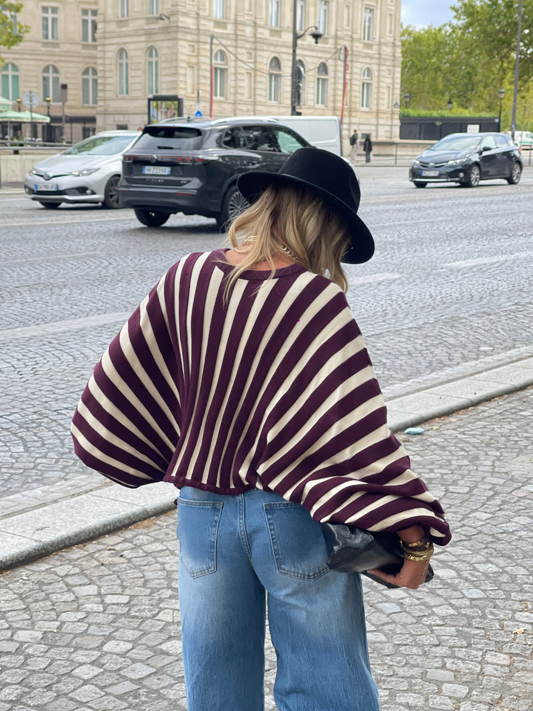 Pull rayures manches papillons violet