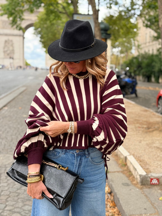Pull rayures manches papillons violet