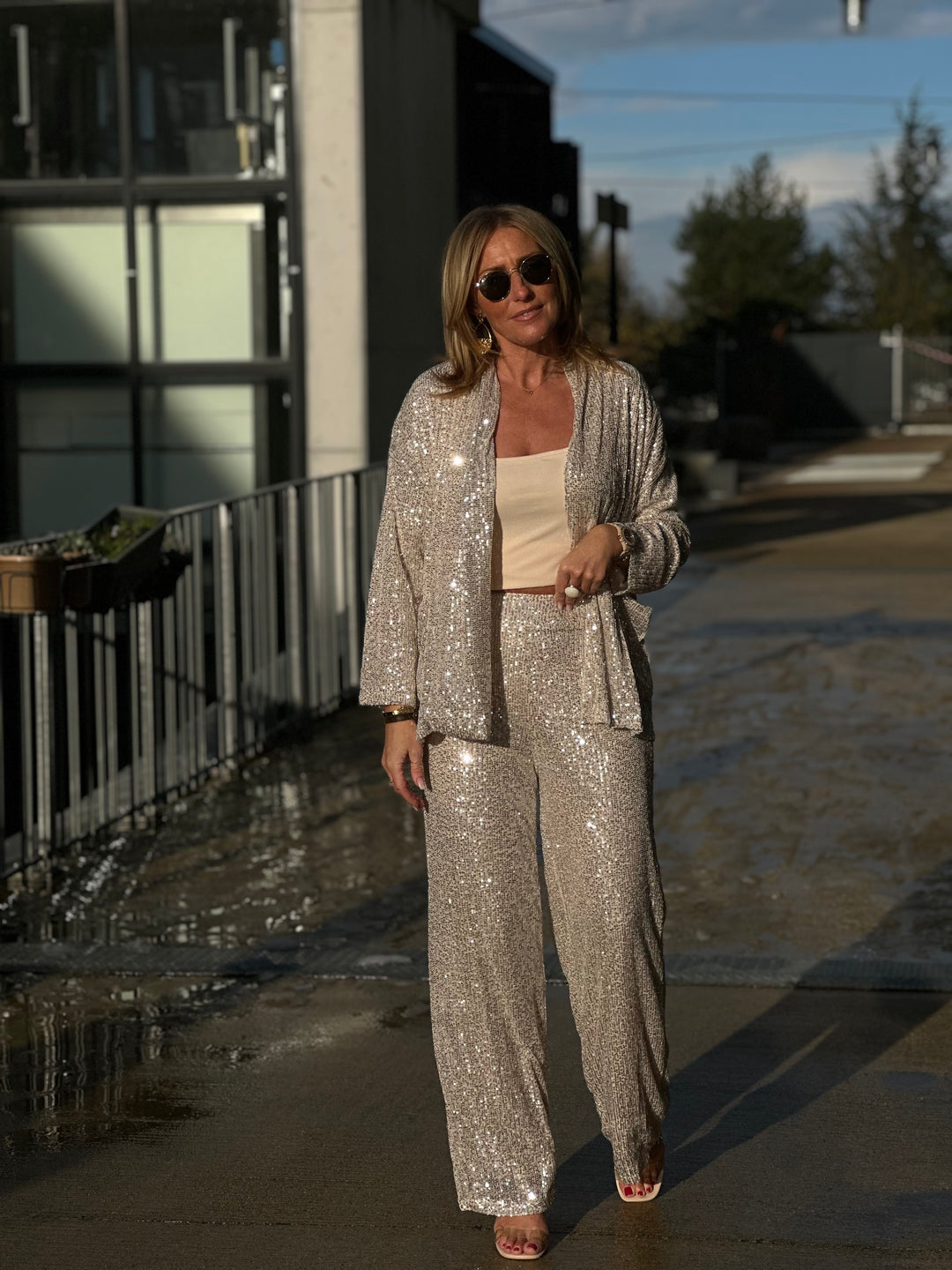 Pantalon aux sequin beige /J-1293