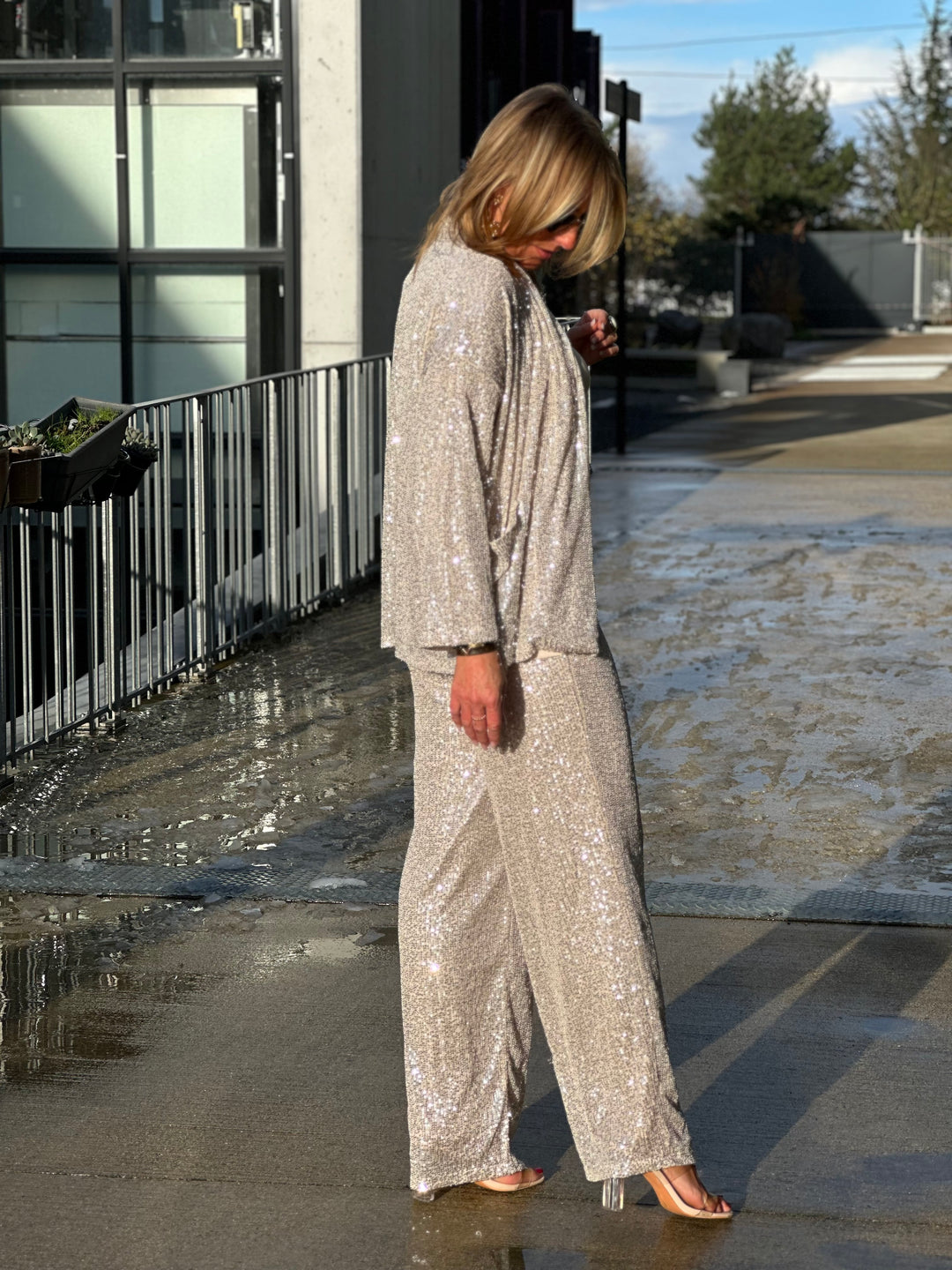 Pantalon aux sequin beige /J-1293