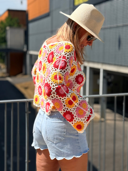 Pull crochet fleurs D59