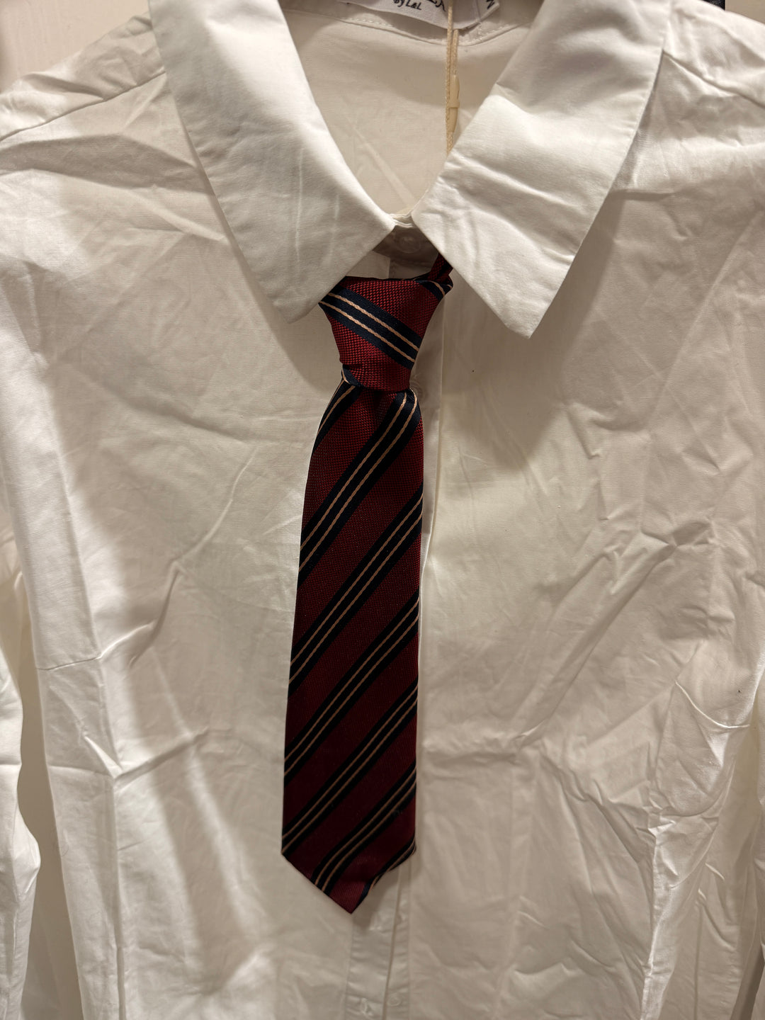 Petit cravate élastique