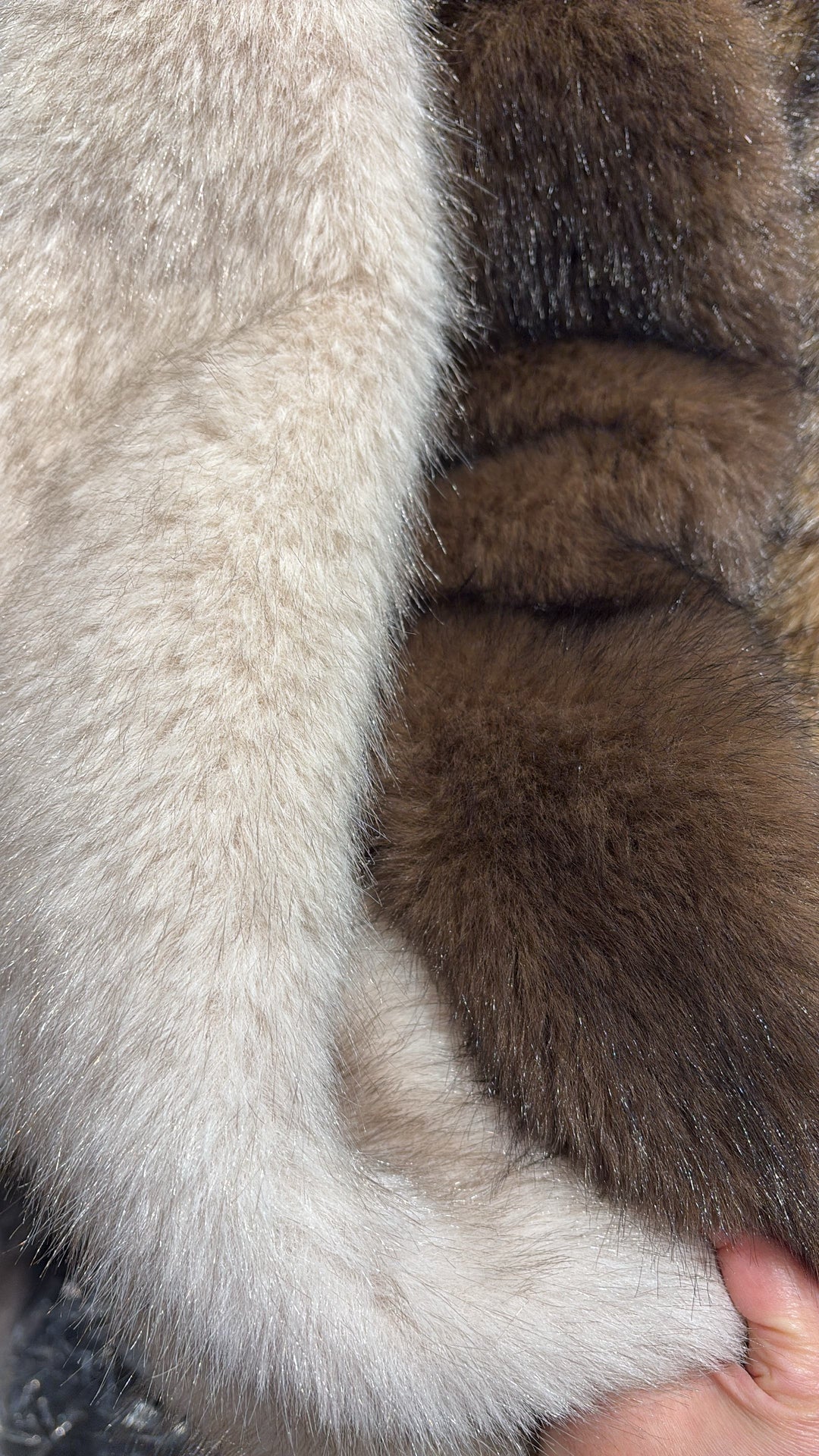 Fourrure court choco 8745